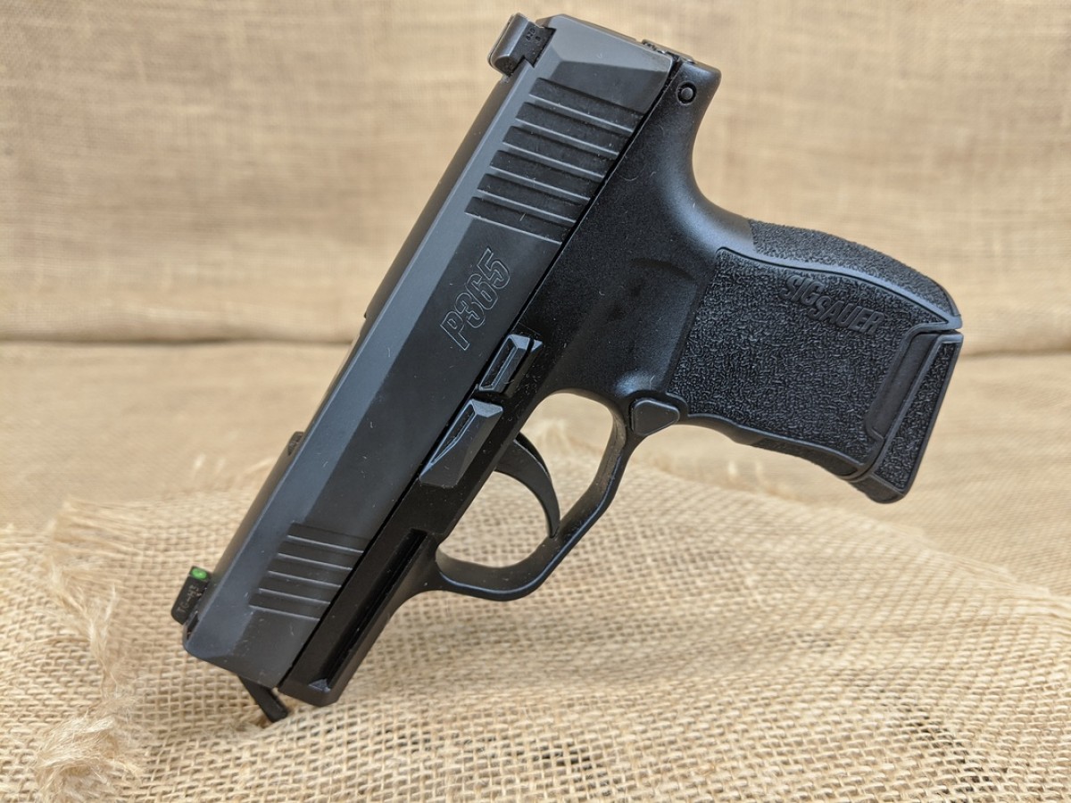 GunSpot Guns for sale | Gun Auction: Sig Sauer 365 9mm