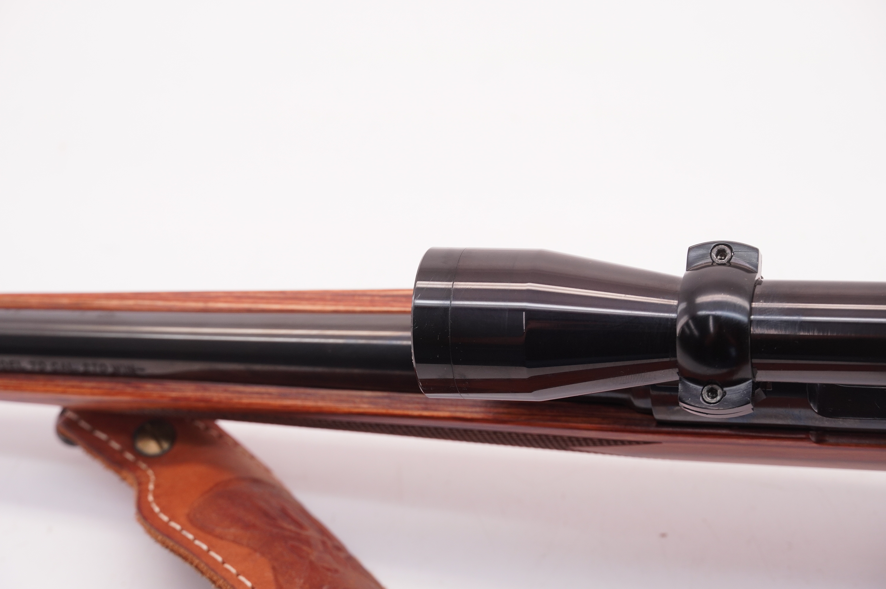 Sections & Categories